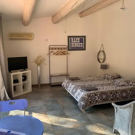 Le Mazet De La Cigale Appartement